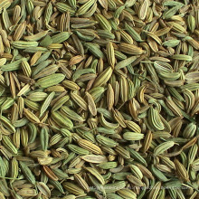 25kgs / 50kgs PP Bags China Best-Selling Fennel Seeds